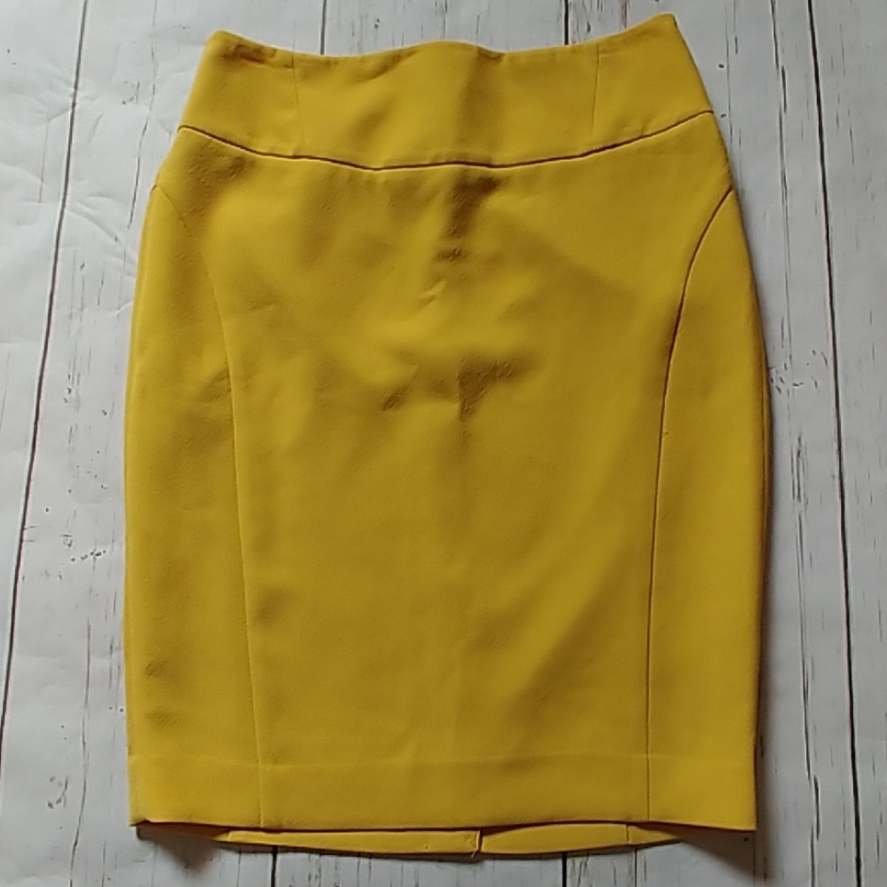 The Limited High Waist Skirt